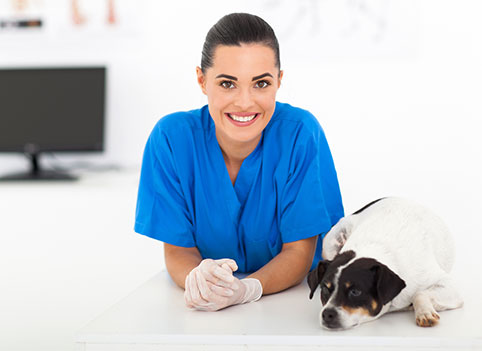 Contact Us | Fry Road Animal Clinic